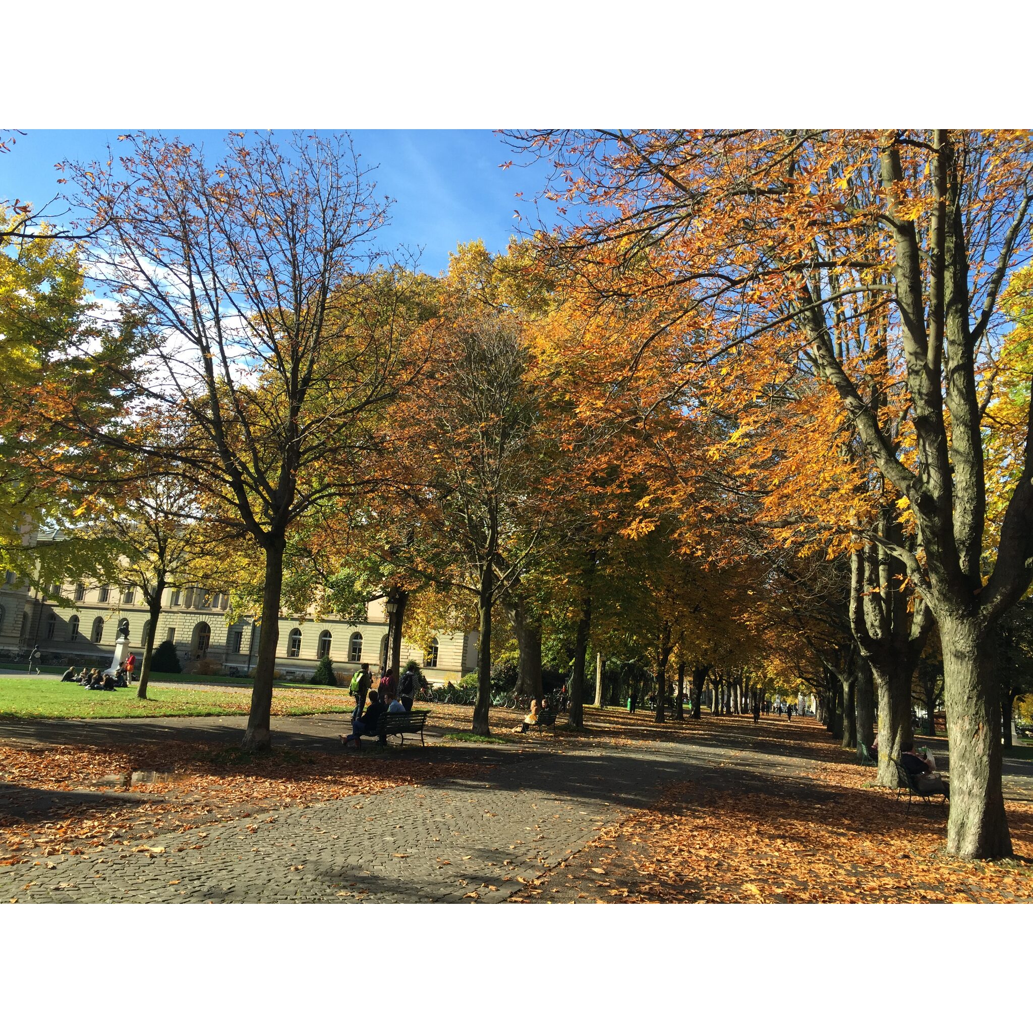 2015-10-29_14-09-06