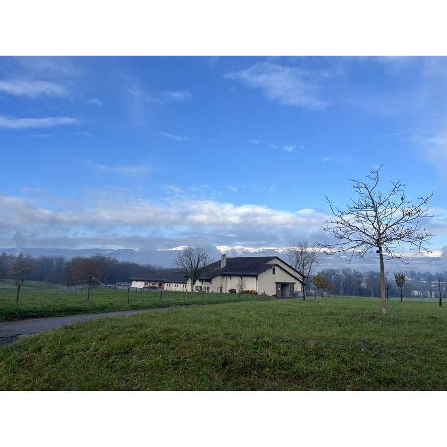 Chemin des Blanchards 41