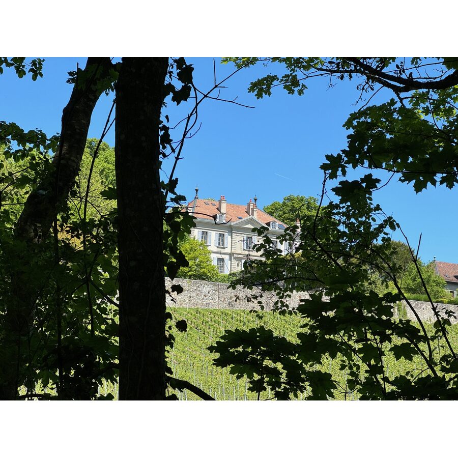 Campagne Masset