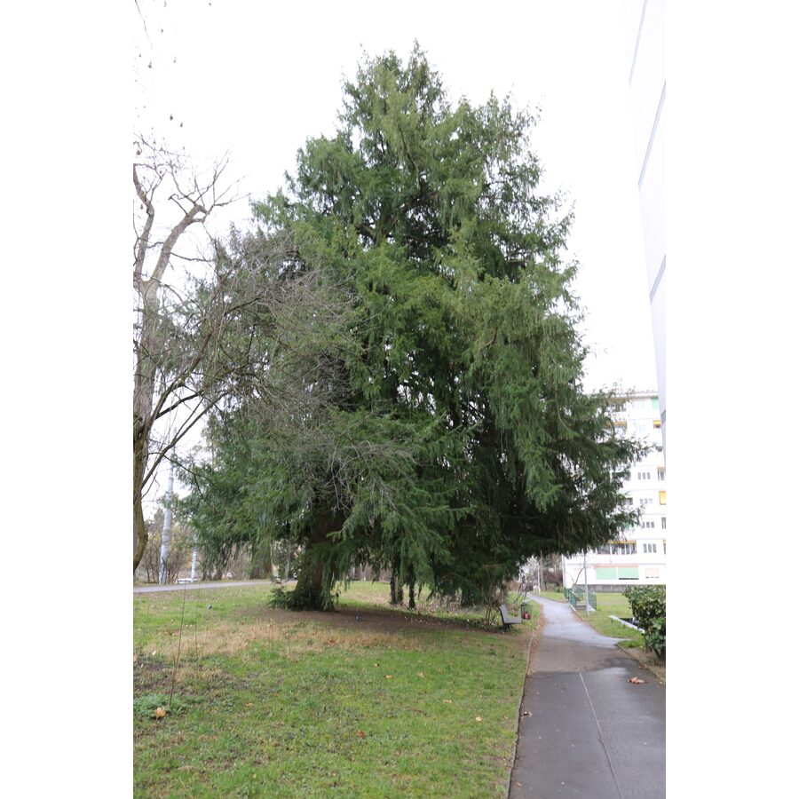 Avenue de Crozet 6-60