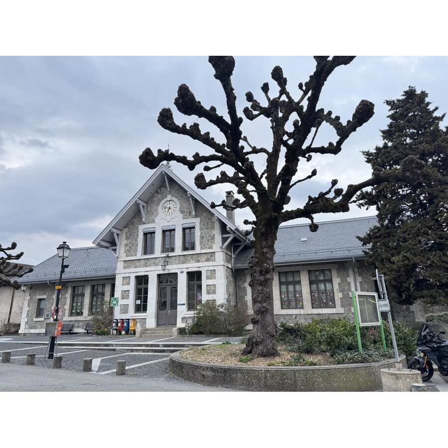 Ecole Primaire de Vernier