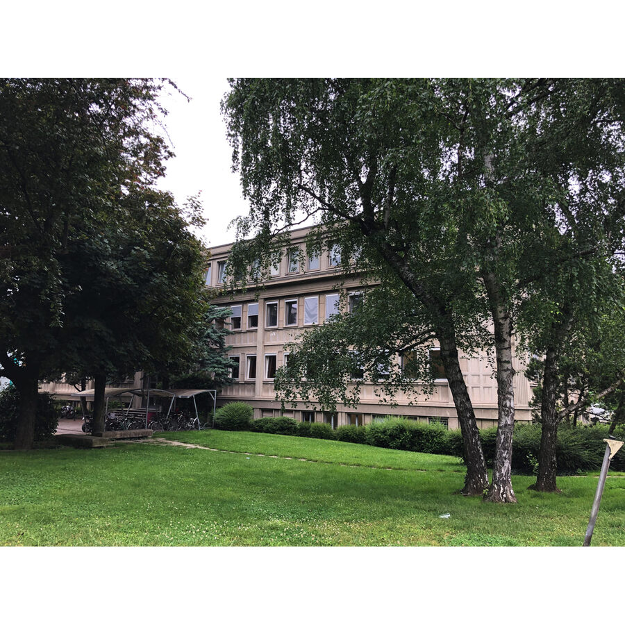 Institut de Physique