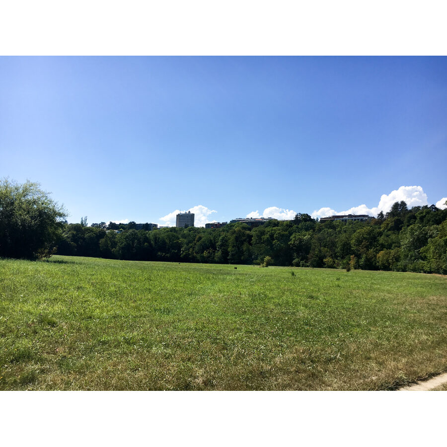 Centre sportif de Vessy