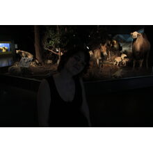2013-04-14_16-50-14