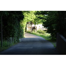 IMG_0734