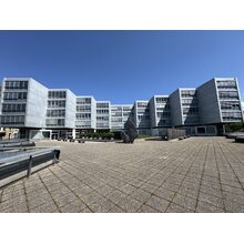 IMG_9264