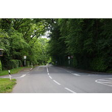 IMG_1081