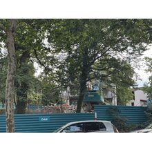 IMG_0445