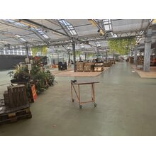 IMG_0769