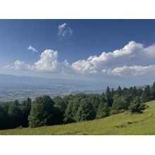 IMG_0751