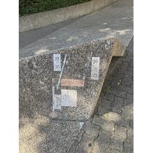 IMG_0789