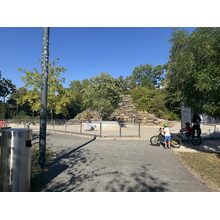 IMG_1950