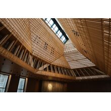IMG_1361