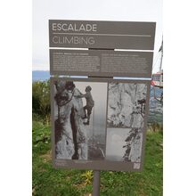 IMG_1520