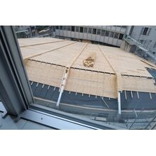 IMG_1560
