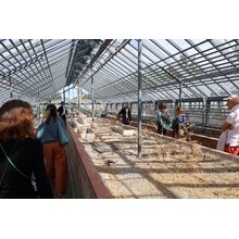 IMG_1593