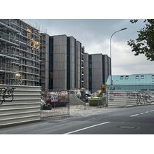 IMG_2901