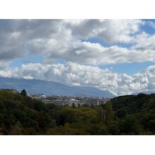 IMG_2950