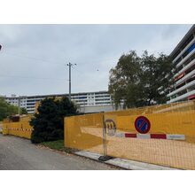IMG_2974