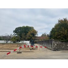 IMG_3016