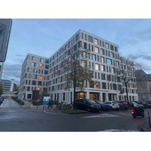 IMG_3124