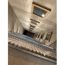 IMG_3286