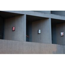 IMG_1642