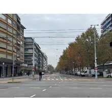 IMG_3303