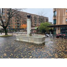 IMG_3346