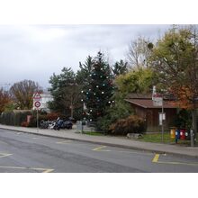 DSC01771