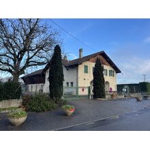IMG_3636