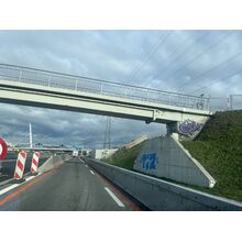 IMG_3584