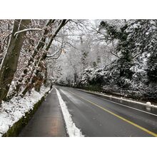 2021-01-17_08-57-25