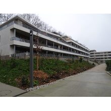 2025-12-20_16-31-50