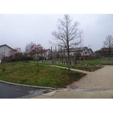 2025-12-20_17-12-21