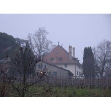 2025-12-20_17-48-51