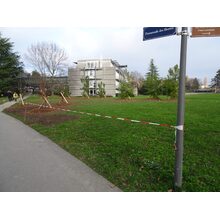 2025-12-29_16-22-45