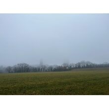 2026-01-17_09-35-22