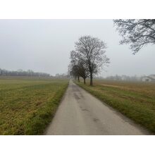 2026-01-17_09-35-24