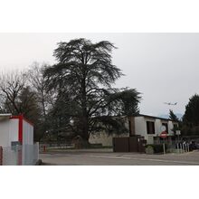 2026-01-17_15-50-56