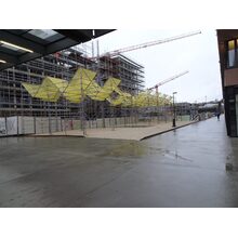 2026-02-16_09-46-41