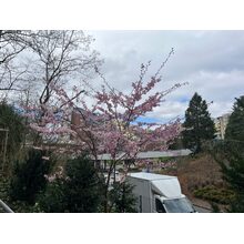 2026-03-18_12-25-49