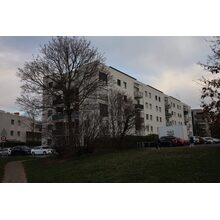 2025-03-08_07-51-48