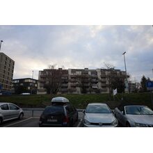 2025-03-08_07-48-11