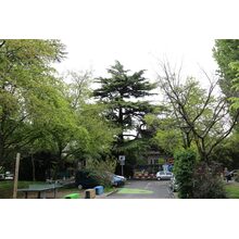 2019-04-27_14-02-09