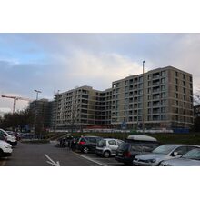 2025-03-08_07-47-57