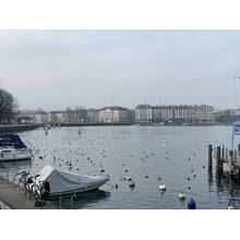2020-01-25_14-26-54