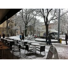2010-12-01_13-56-54