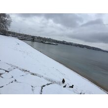2016-01-17_10-55-24