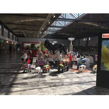 2017-05-24_10-31-38